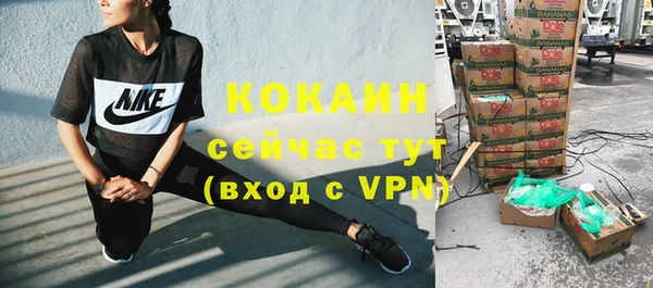 твердый Рославль