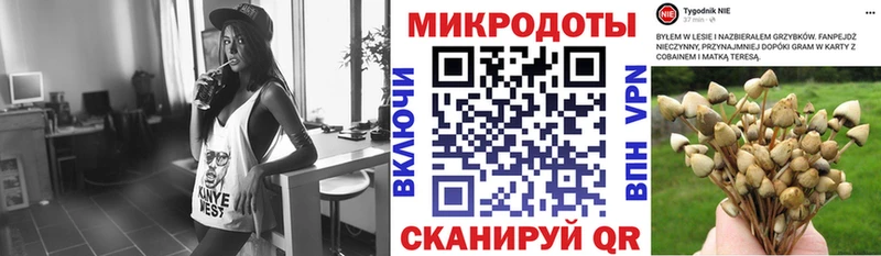 Купить закладки  Ижевск  Псилоцибиновые грибы Psilocybine cubensis